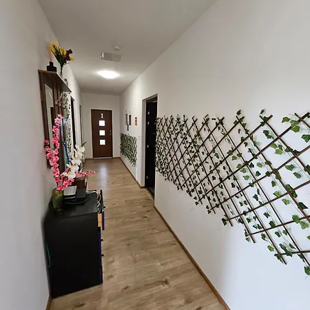 Wohngemeinschaft- Einzelne Appartamento Dresda