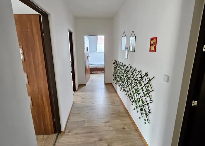 Wohngemeinschaft- Einzelne アパート