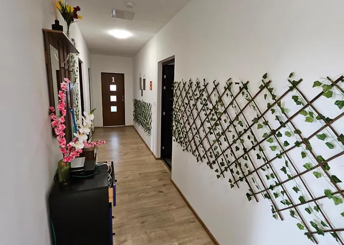 Wohngemeinschaft- Einzelne Daire Dresden